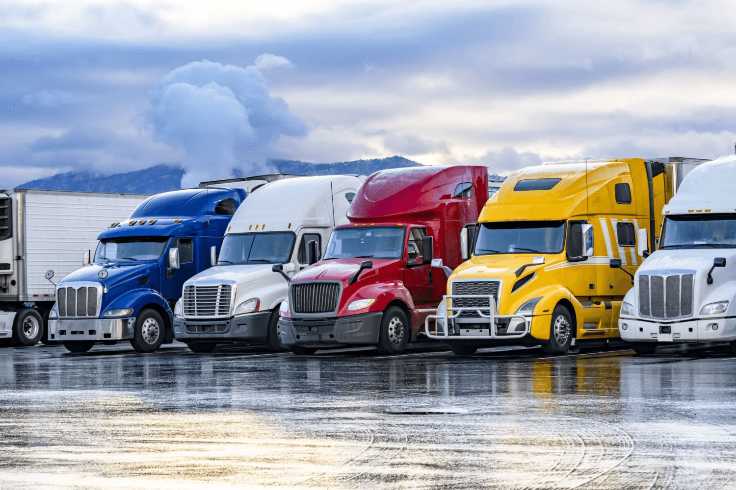 Fleet Management for Heavy-Duty Cargo Transport