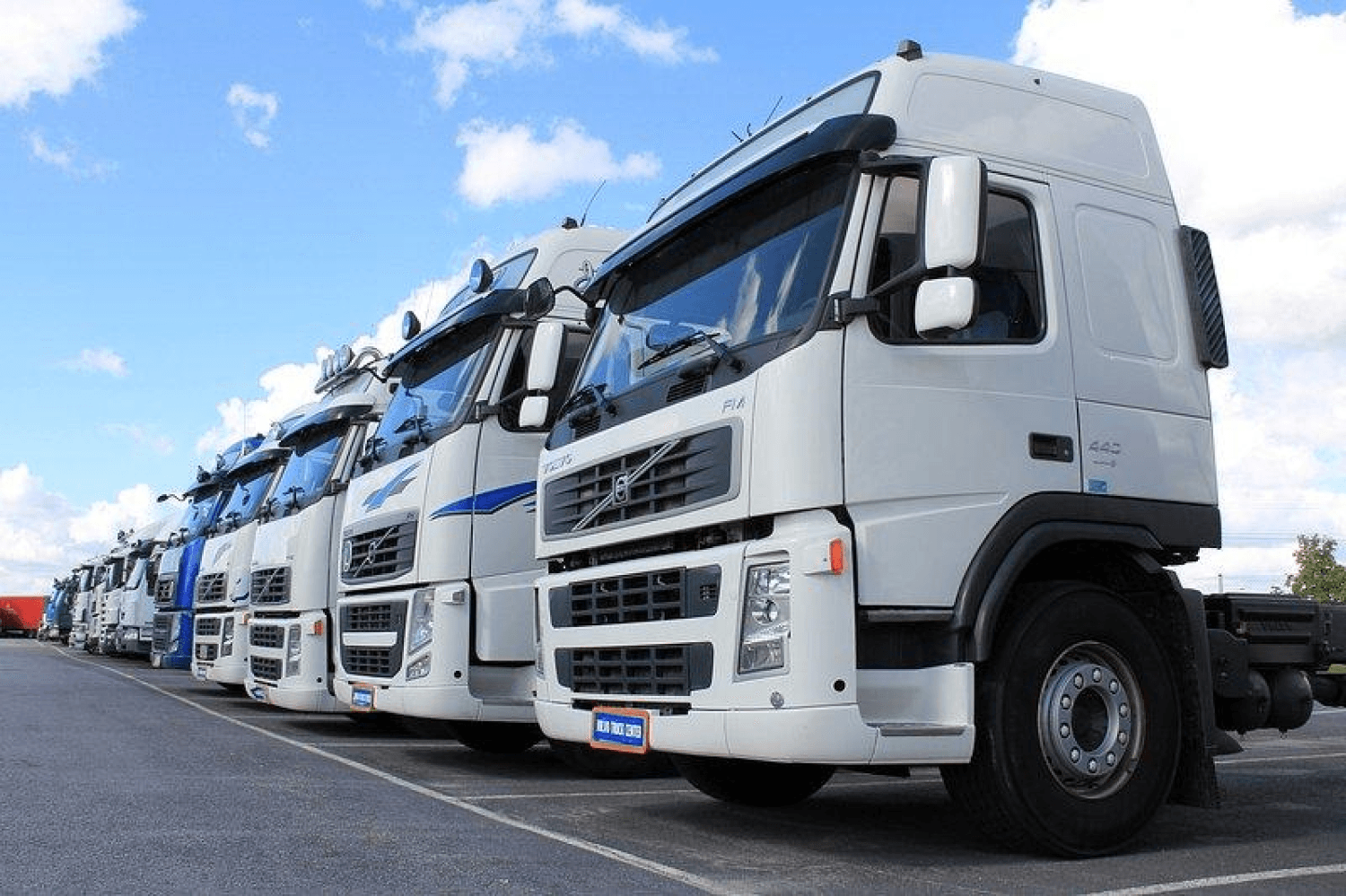 Fleet Management for Transportation and Logistics